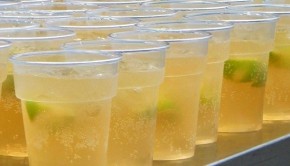 gingerbeer